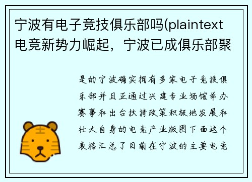 宁波有电子竞技俱乐部吗(plaintext电竞新势力崛起，宁波已成俱乐部聚集地)